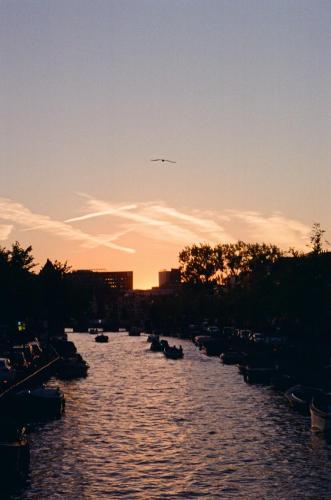 Alt de l'image
