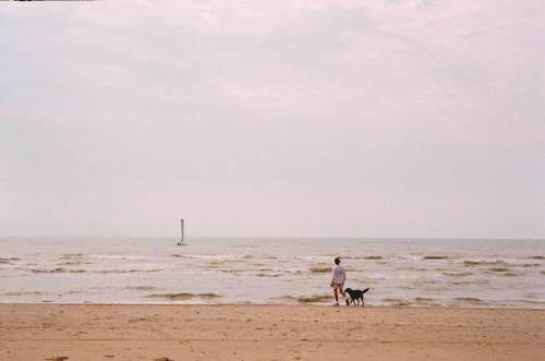 Image au board de plage